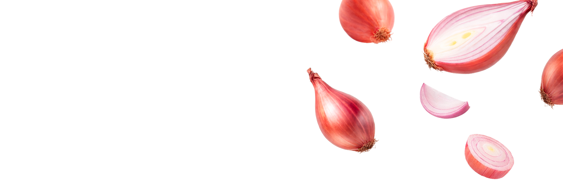 Světová šalotkaz Čech