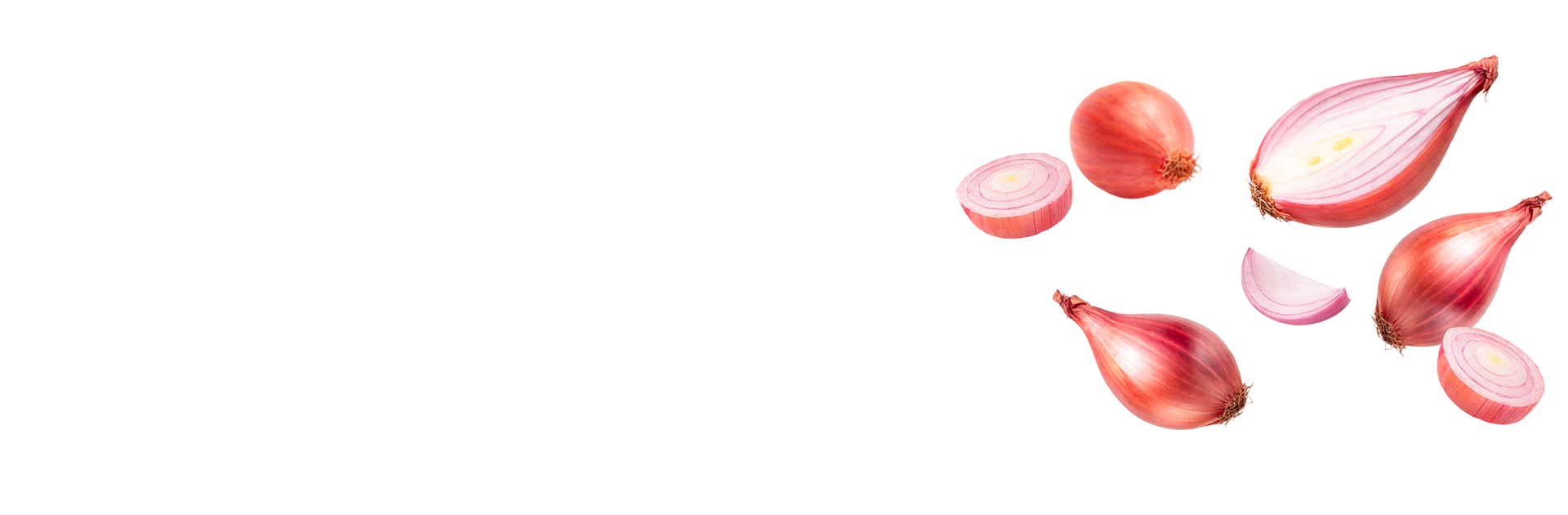 Světová šalotkaz Čech